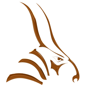 Bongo Educational Logo